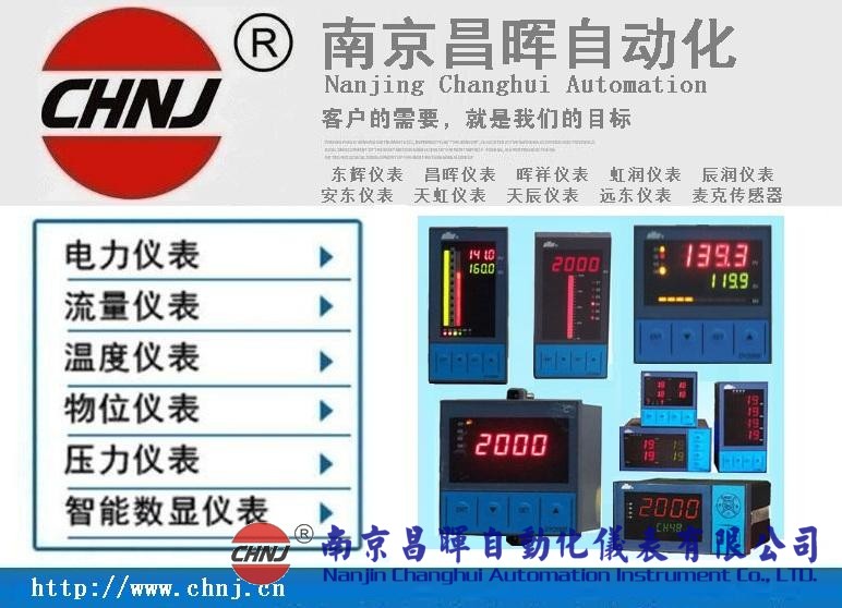 DY29ZE10、DY2000（ZE/DE）單電量顯示儀表