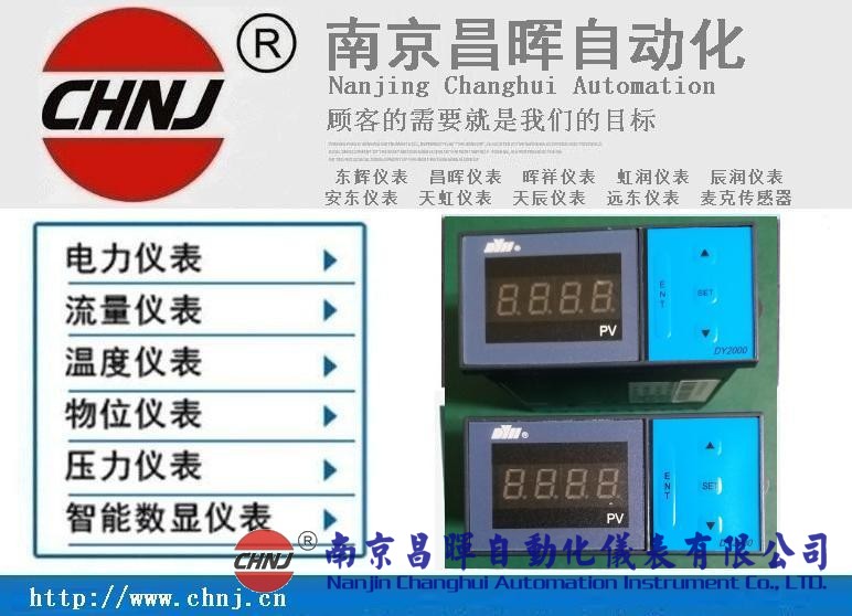 大延牌DY2000、東輝儀表、DY28B02/DY21B02/DY29B02數顯表
