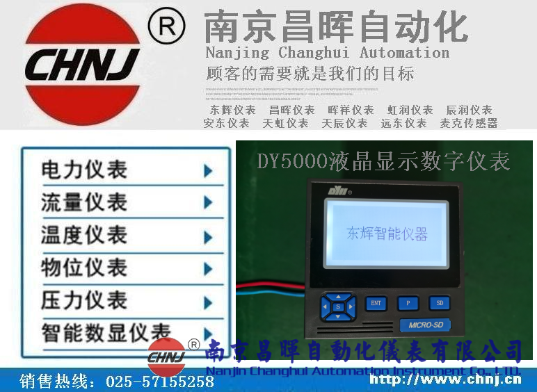 DY21ZL、DY22ZL00、DY59ZL60、DY5000（ZL）液晶顯示數(shù)字儀表